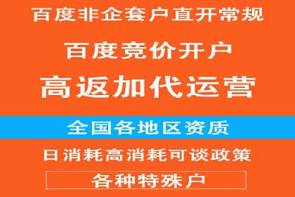 百度推广运营实战技巧：案例解析与实战